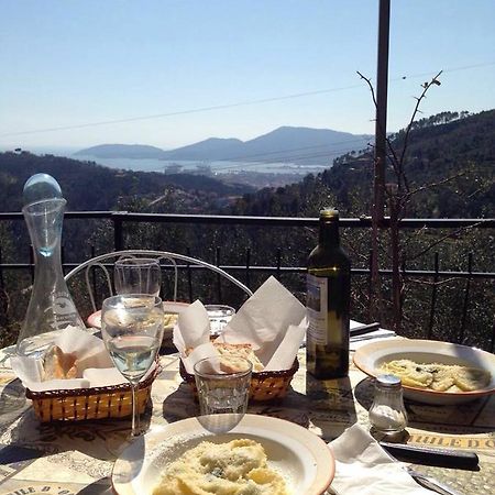 Agriturismo Oliva Azzurra Villa Valeriano Lunense Esterno foto