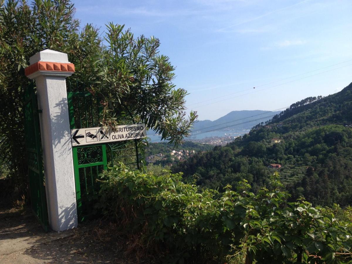 Agriturismo Oliva Azzurra Villa Valeriano Lunense Esterno foto