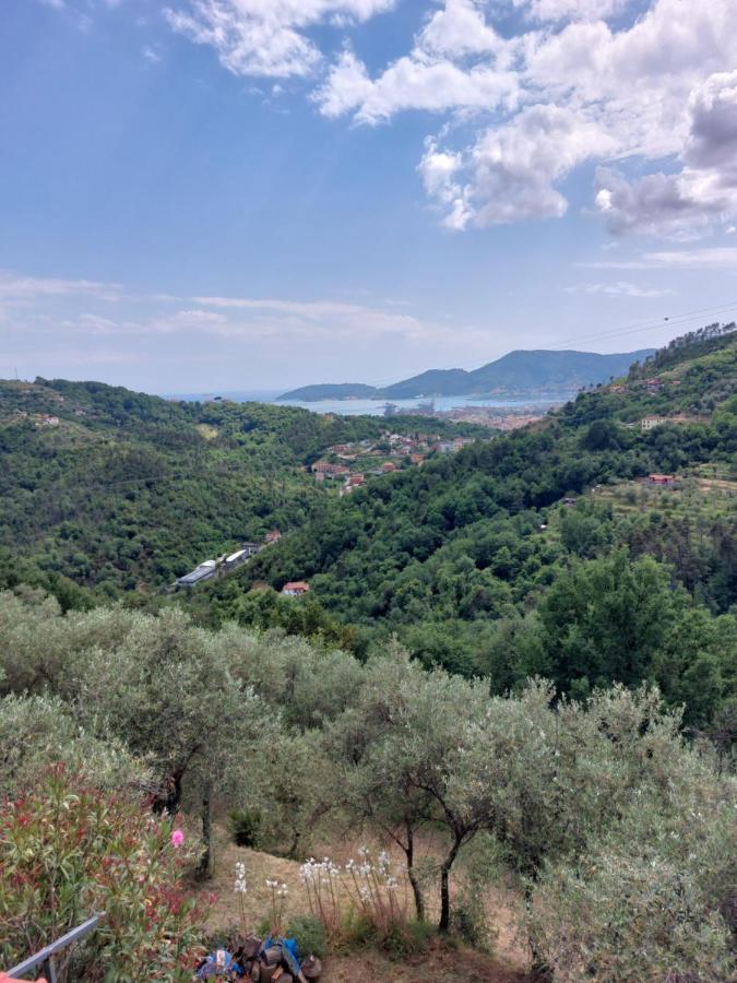 Agriturismo Oliva Azzurra Villa Valeriano Lunense Esterno foto