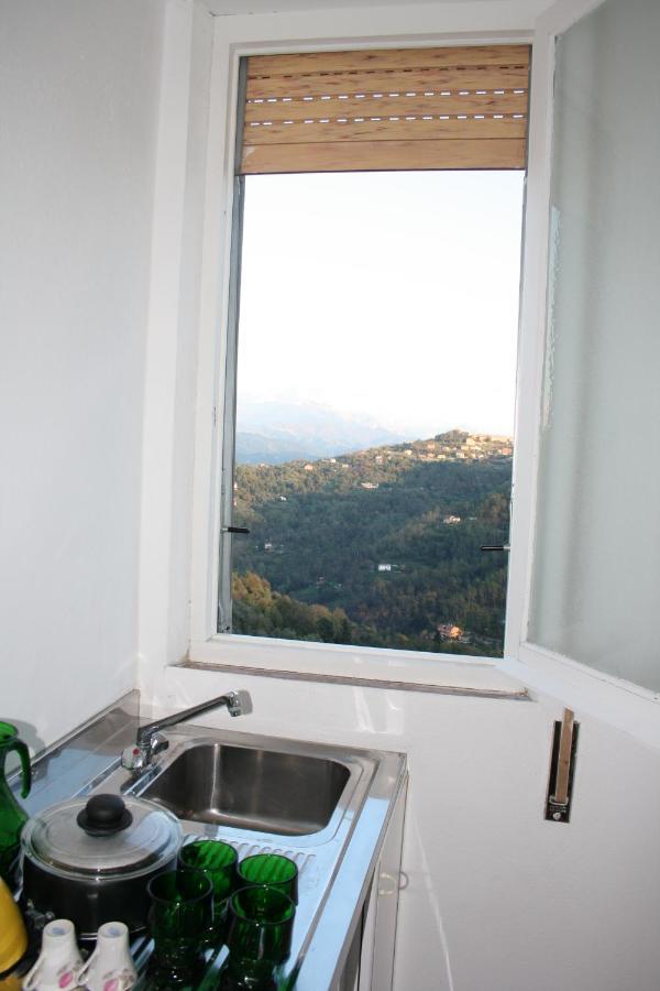 Agriturismo Oliva Azzurra Villa Valeriano Lunense Esterno foto