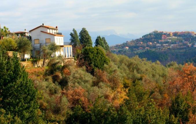 Agriturismo Oliva Azzurra Villa Valeriano Lunense Esterno foto