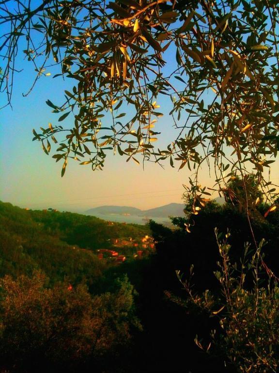 Agriturismo Oliva Azzurra Villa Valeriano Lunense Esterno foto