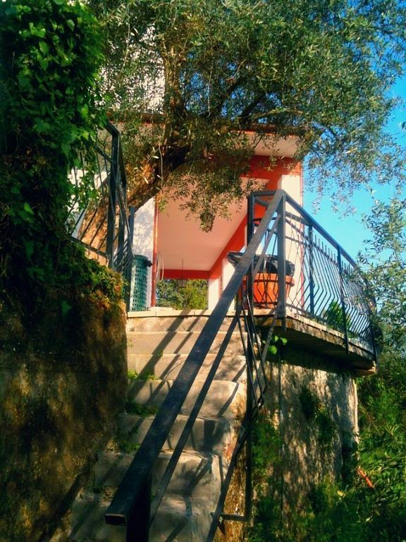 Agriturismo Oliva Azzurra Villa Valeriano Lunense Esterno foto