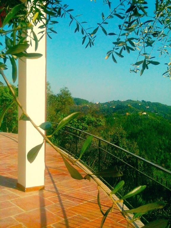 Agriturismo Oliva Azzurra Villa Valeriano Lunense Esterno foto