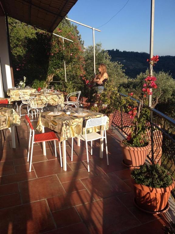 Agriturismo Oliva Azzurra Villa Valeriano Lunense Esterno foto