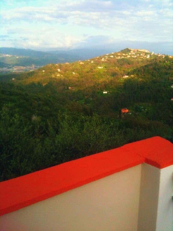 Agriturismo Oliva Azzurra Villa Valeriano Lunense Esterno foto