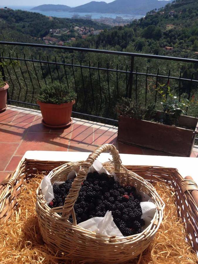 Agriturismo Oliva Azzurra Villa Valeriano Lunense Esterno foto
